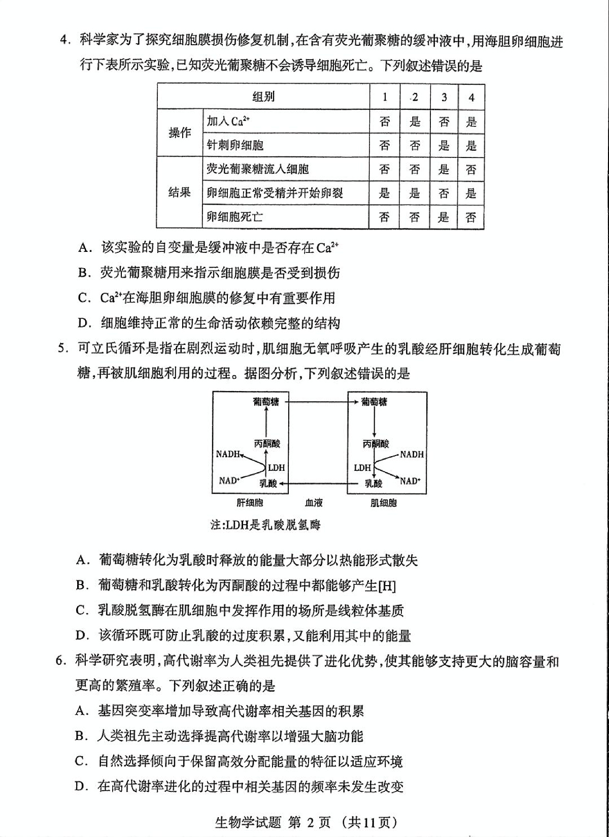 内蒙古自治区呼和浩特市2025届高三第一次模拟考试生物第2页