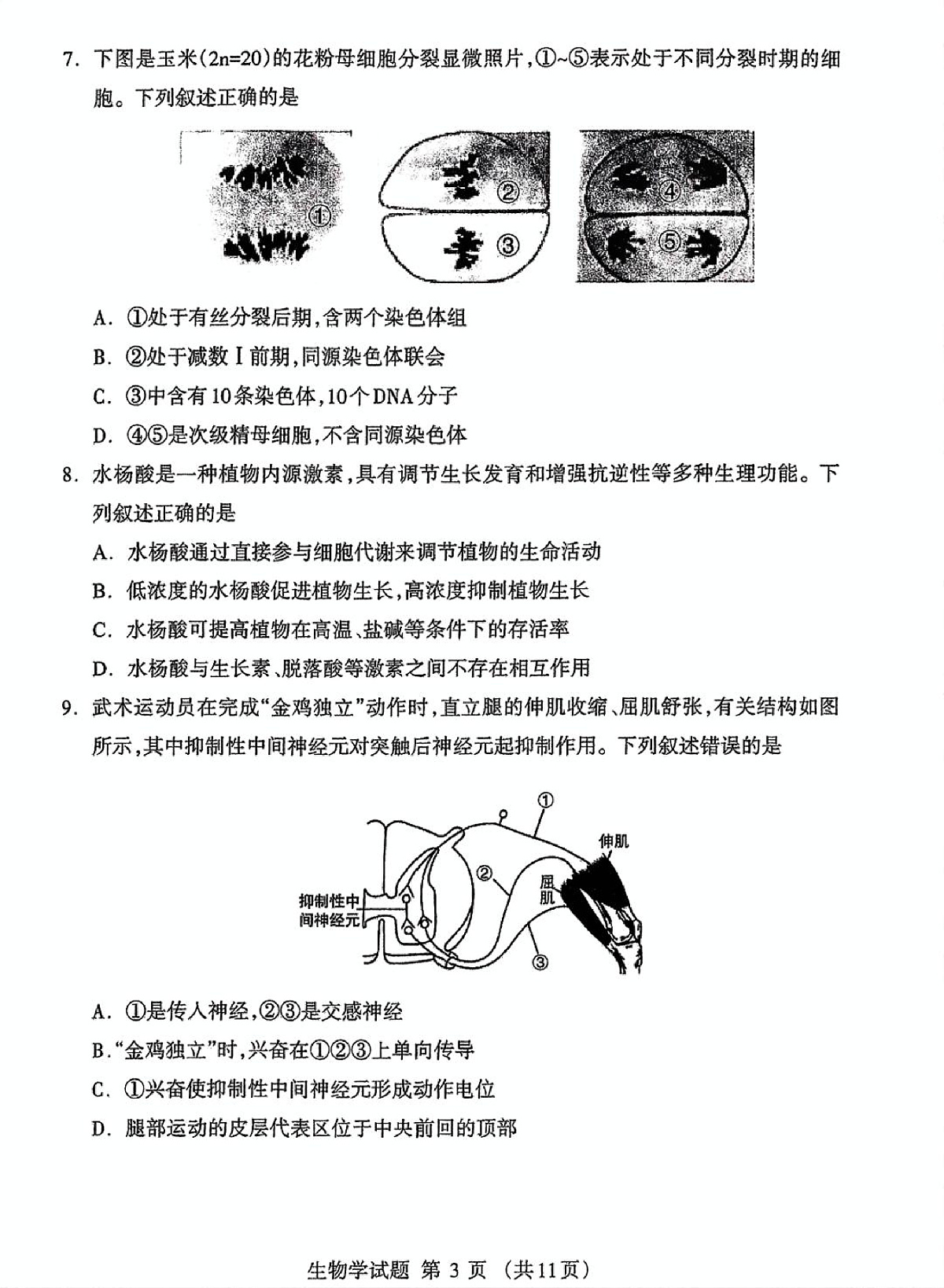 内蒙古自治区呼和浩特市2025届高三第一次模拟考试生物第3页