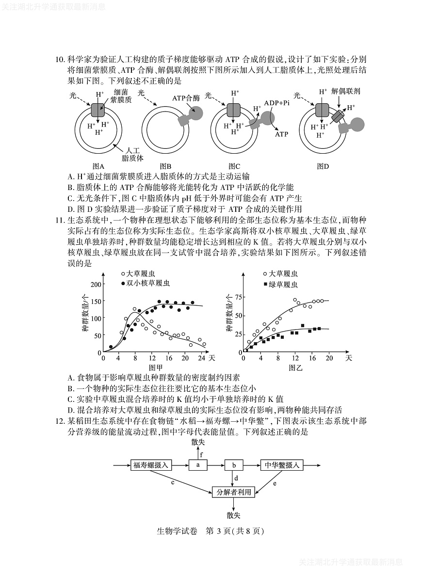 2025年湖北省八市高三（3月）联考生物第3页