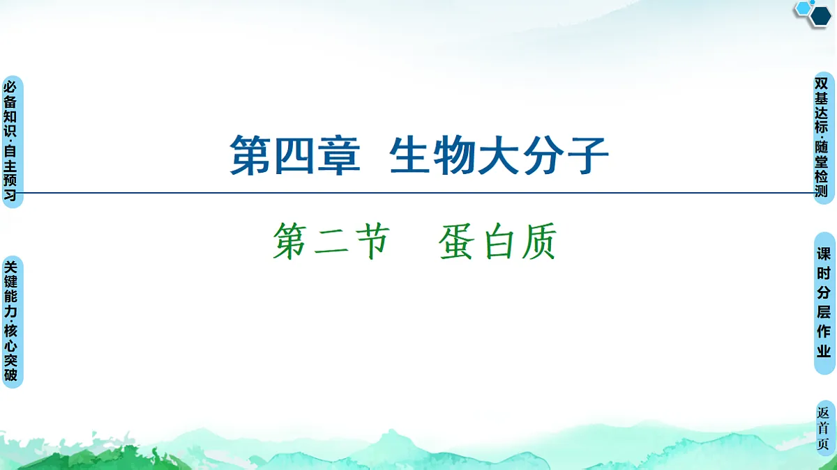 第4章 第2节　蛋白质 课件【新教材】人教版（2019）高中化学选择性必修3第1页