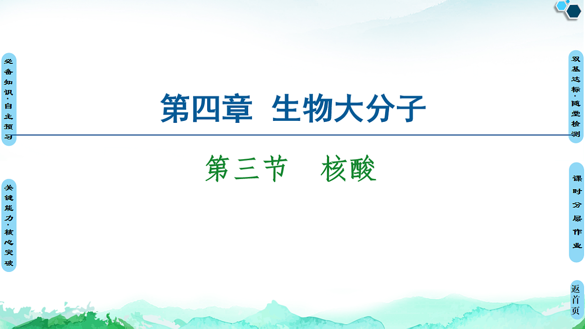 第4章  第3节　核酸 课件【新教材】人教版（2019）高中化学选择性必修3第1页