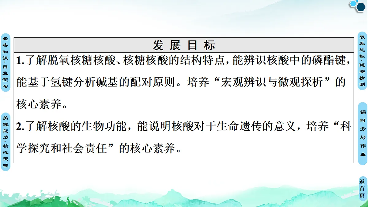 第4章 第3节　核酸 课件【新教材】人教版（2019）高中化学选择性必修3第2页