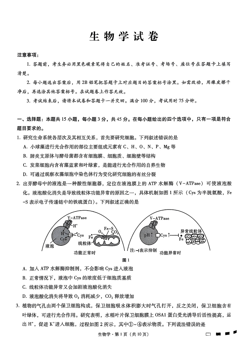 重庆市巴蜀中学高2025届高三3月适应性月考卷（六）生物第1页