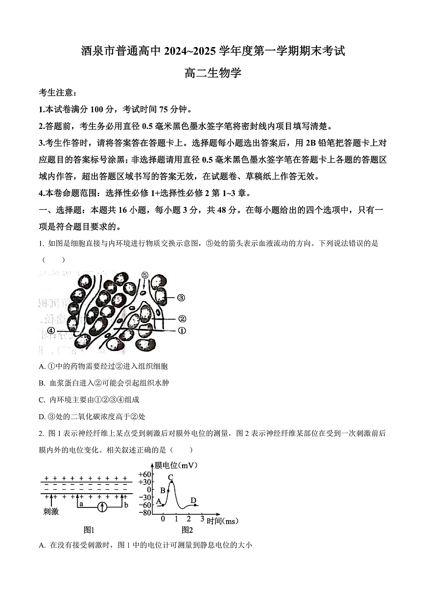 甘肃省酒泉市2024-2025学年高二上学期期末考试生物试题  Word版无答案第1页