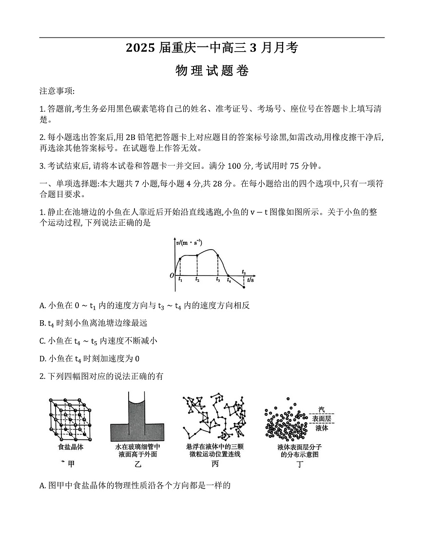 重庆市第一中学校2024-2025学年高三下学期3月月考物理试题第1页