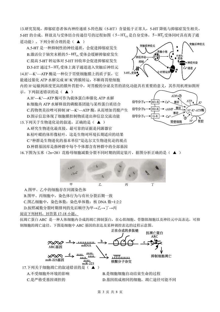 余姚中学2024学年第二学期质量检测高二生物学科试卷(修改版)第3页