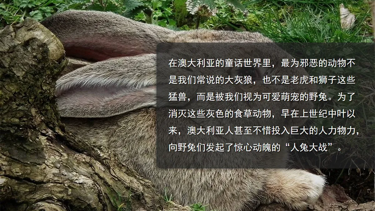人教版高中地理 必修 第二册 1-3 人口容量课件第4页