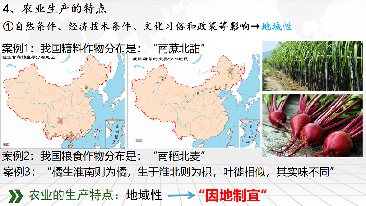 人教版高中地理必修 第二册 3-1农业区位因素及其变化 课件第5页