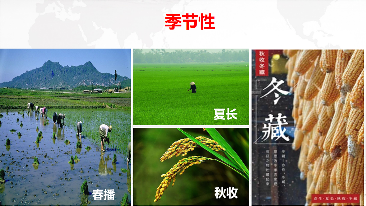 人教版高中地理必修 第二册 3-1农业区位因素及其变化 课件第7页