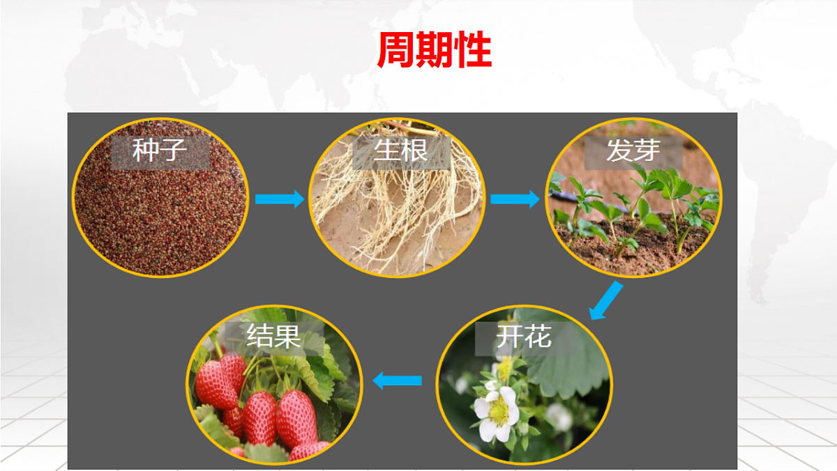 人教版高中地理必修 第二册 3-1农业区位因素及其变化 课件第8页