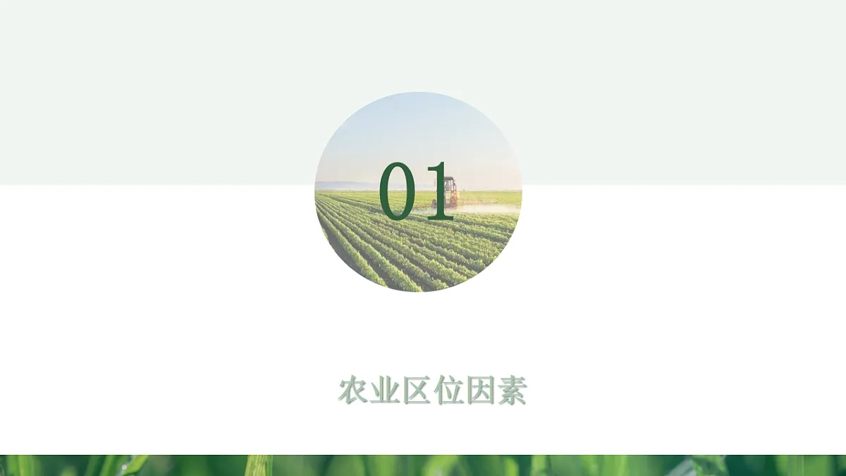 人教版高中地理必修 第二册 3-1农业区位因素及其变化 课件第4页