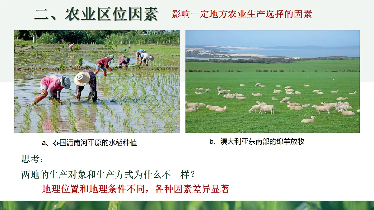 人教版高中地理必修 第二册 3-1农业区位因素及其变化 课件第8页