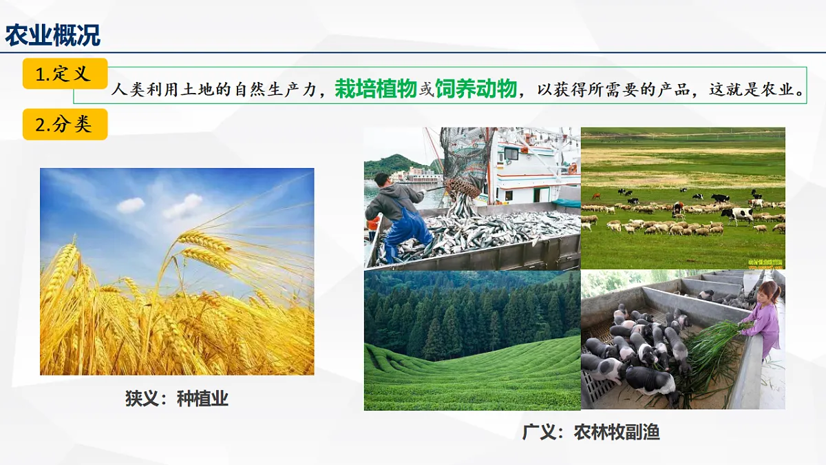人教版高中地理必修 第二册 3-1农业区位因素及其变化 课件第6页