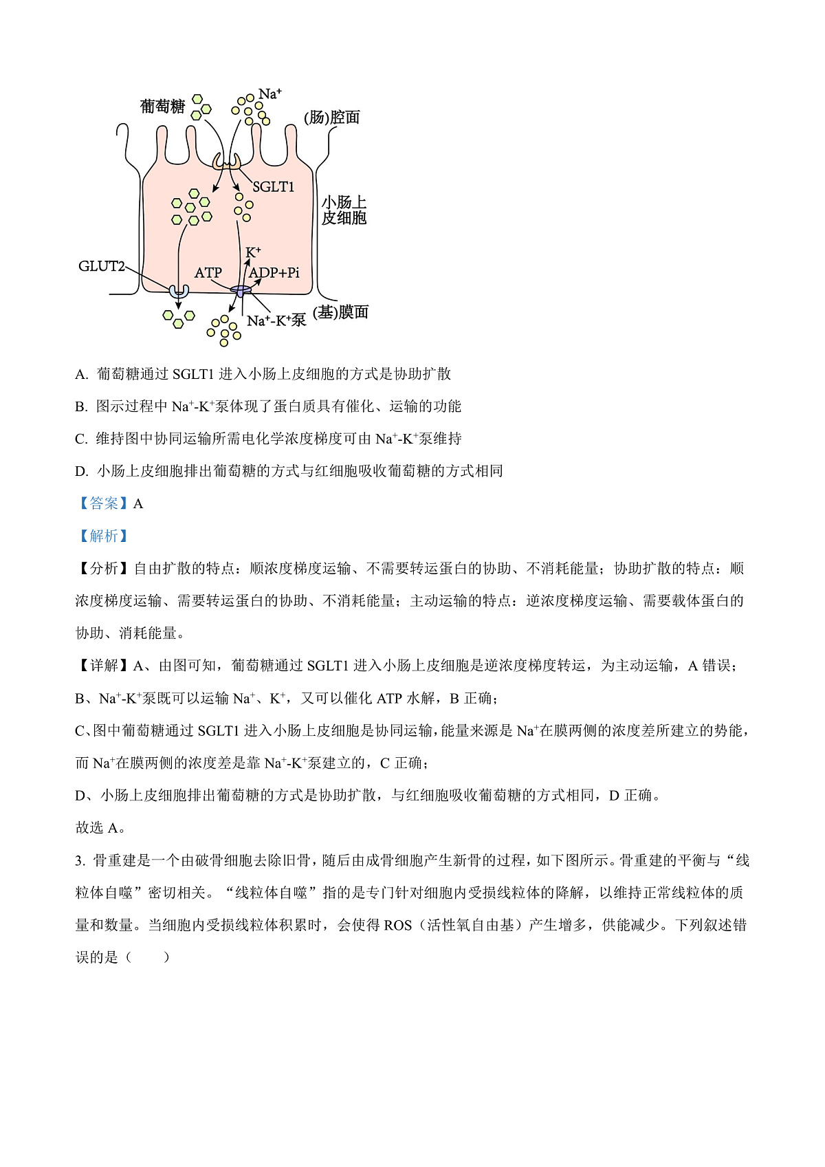 2025届安徽省”江南十校“高三下学期联考生物试题  Word版含解析第2页