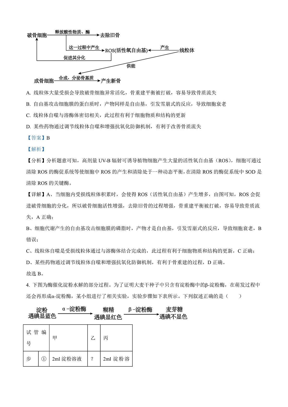 2025届安徽省”江南十校“高三下学期联考生物试题  Word版含解析第3页