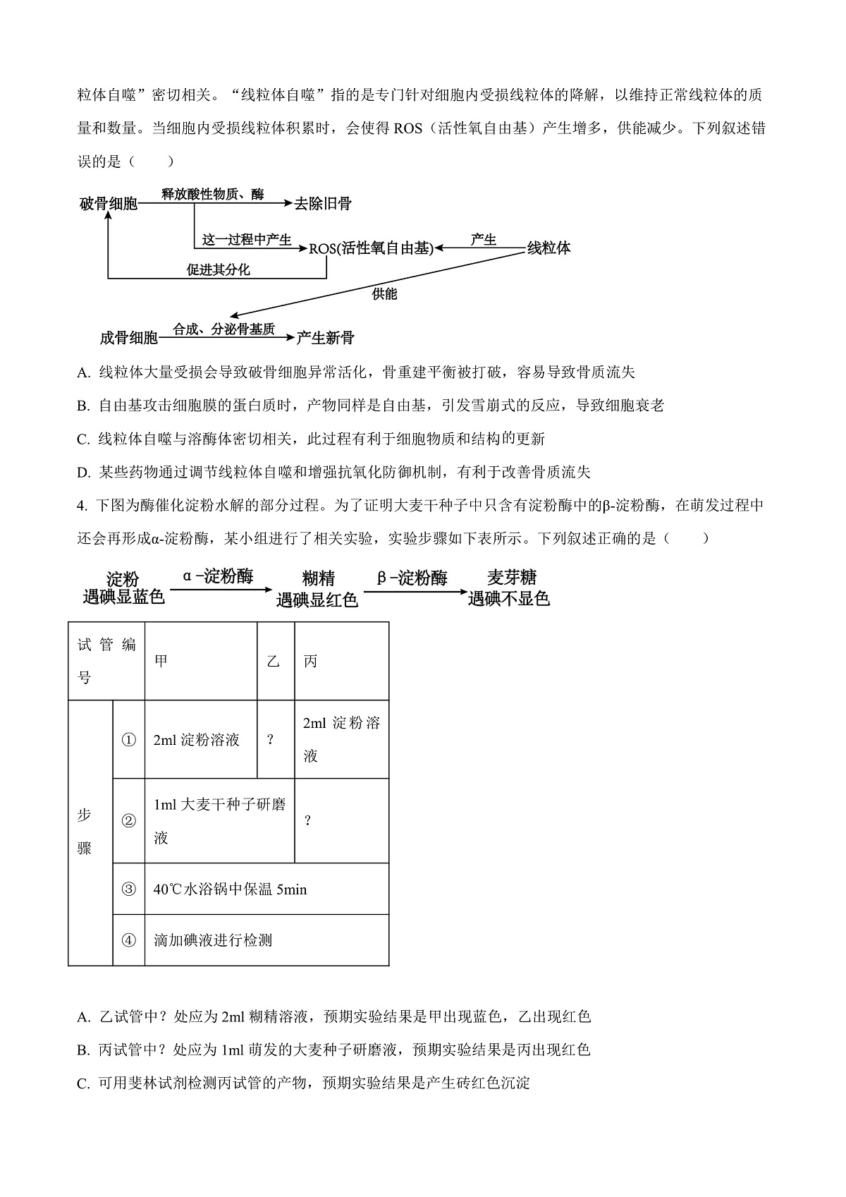 2025届安徽省”江南十校“高三下学期联考生物试题  Word版无答案第2页