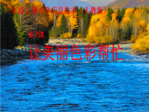 人教[三起]小學(xué)信息三上第 11 課色彩斑斕填圖畫 課件