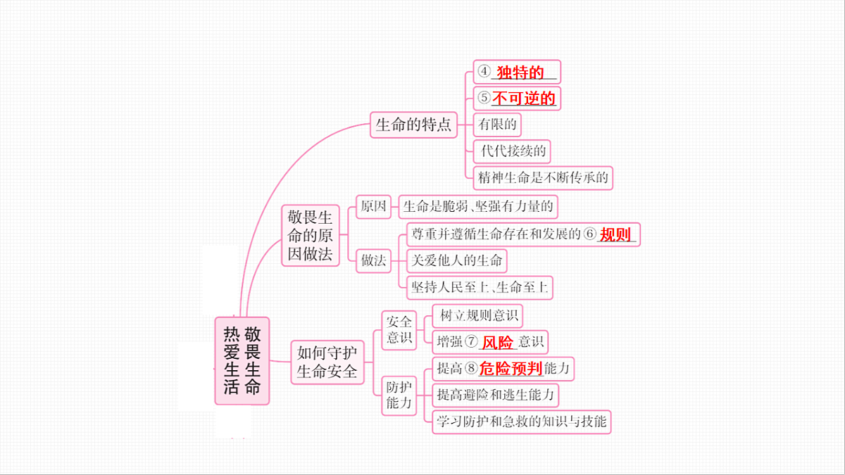 16814947第6页