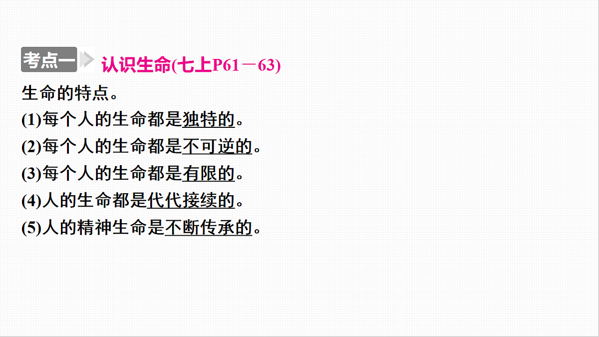 16814947第8页