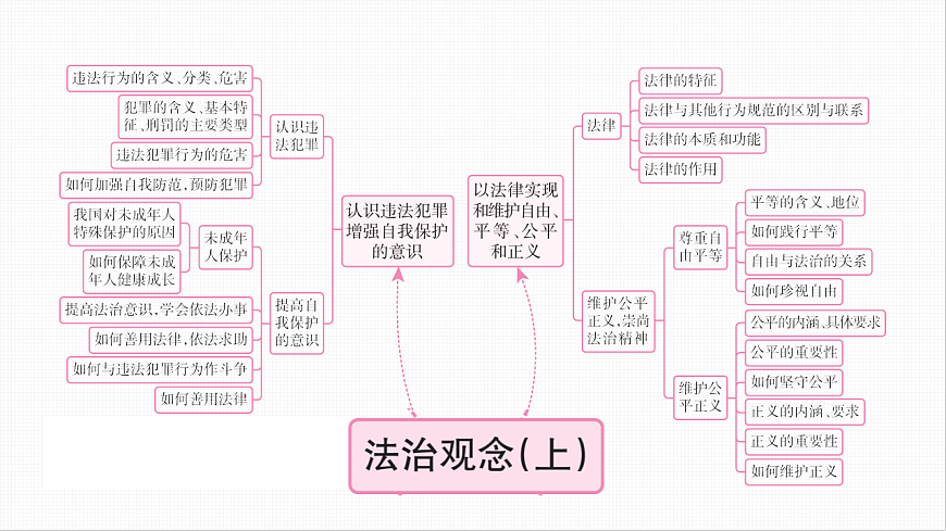 16814955第2页
