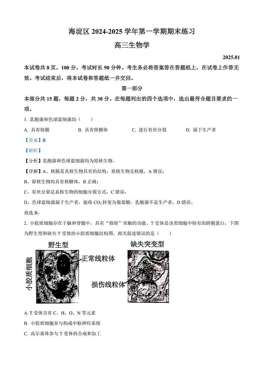 北京市海淀区2024-2025学年高三上学期1月期末考试生物试卷 Word版含解析第1页