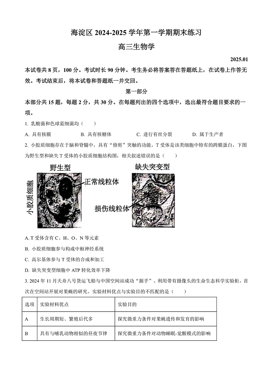 北京市海淀区2024-2025学年高三上学期1月期末考试生物试卷 Word版无答案第1页