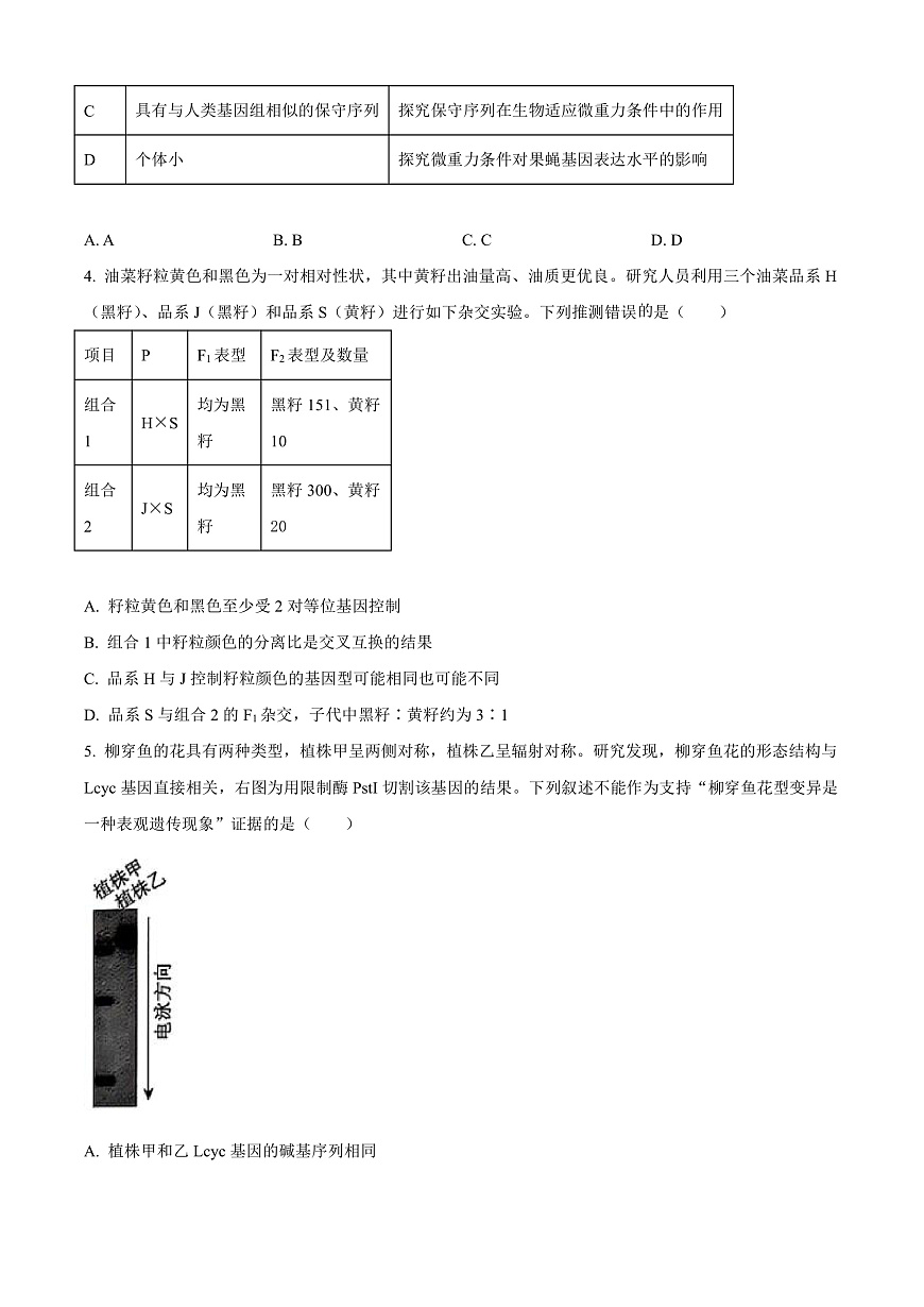 北京市海淀区2024-2025学年高三上学期1月期末考试生物试卷 Word版无答案第2页