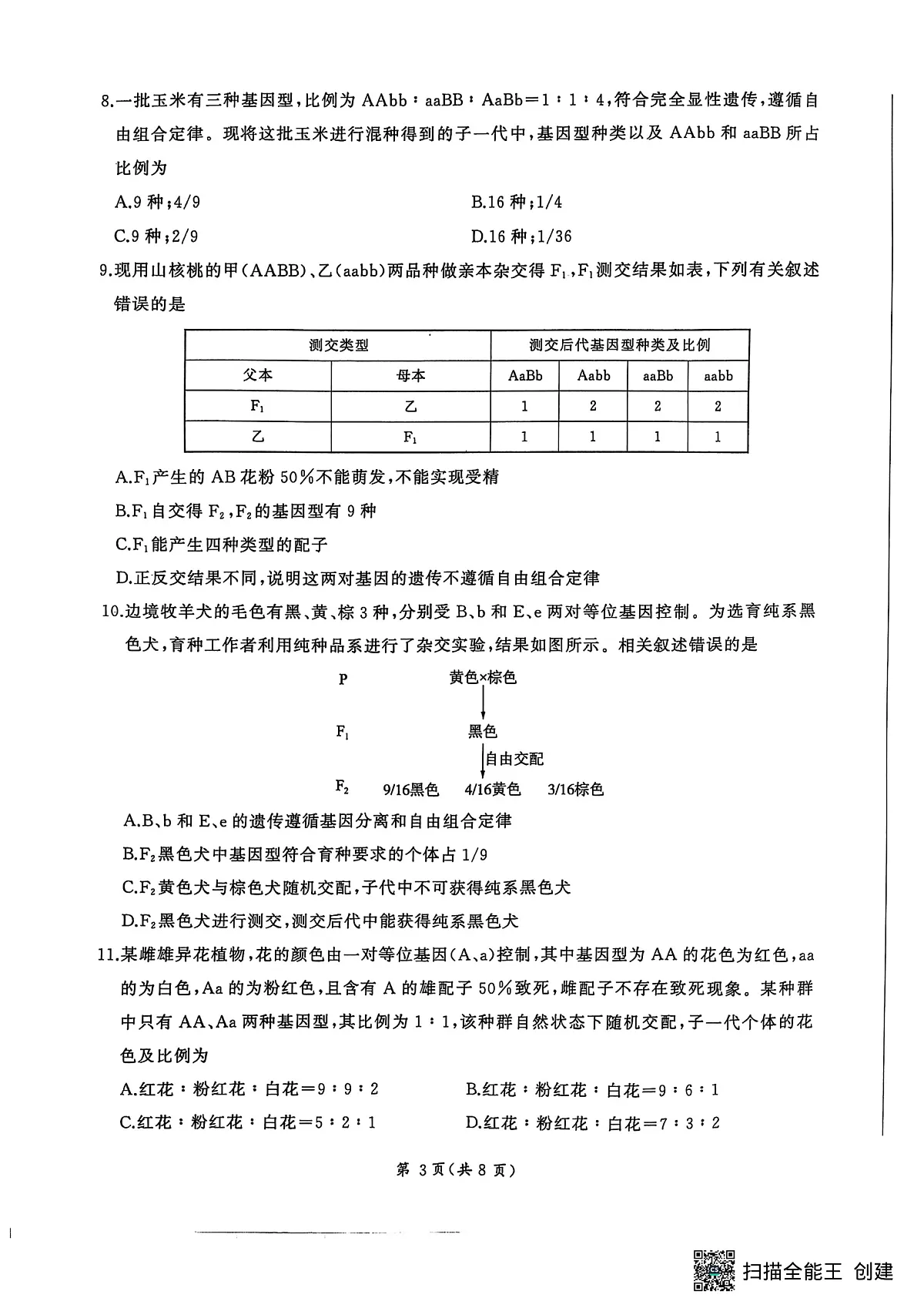 试题第3页