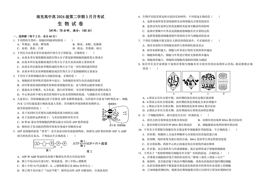 高2024级3月月考生物试卷终(1)第1页