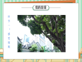 部編版小學(xué)道德與法治四年級(jí)上冊2.1《我們的班規(guī)我們訂》第一課時(shí)課件+教案（含學(xué)情分析）