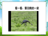 部編版小學道德與法治四年級上冊4.2《少讓父母為我操心》第二課時課件+教案（含學情分析）