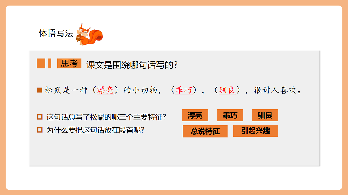 17 松鼠 第二课时课件第2页