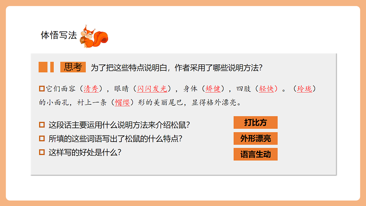 17 松鼠 第二课时课件第3页