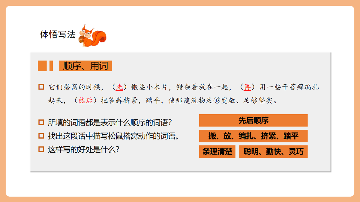 17 松鼠 第二课时课件第6页