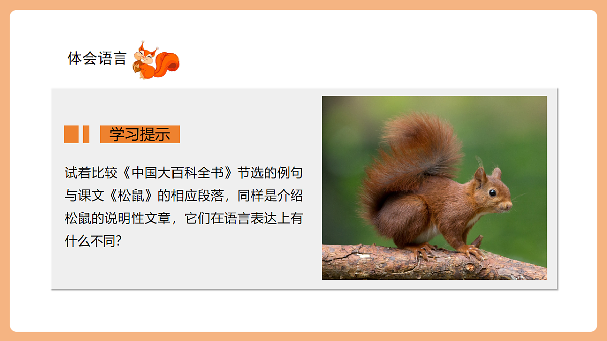 17 松鼠 第二课时课件第8页