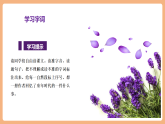 【新課標核心素養(yǎng)】部編版語文五年級上冊18慈母情深（第1課時）（課件+教學設計+音頻+學習任務單+練習）