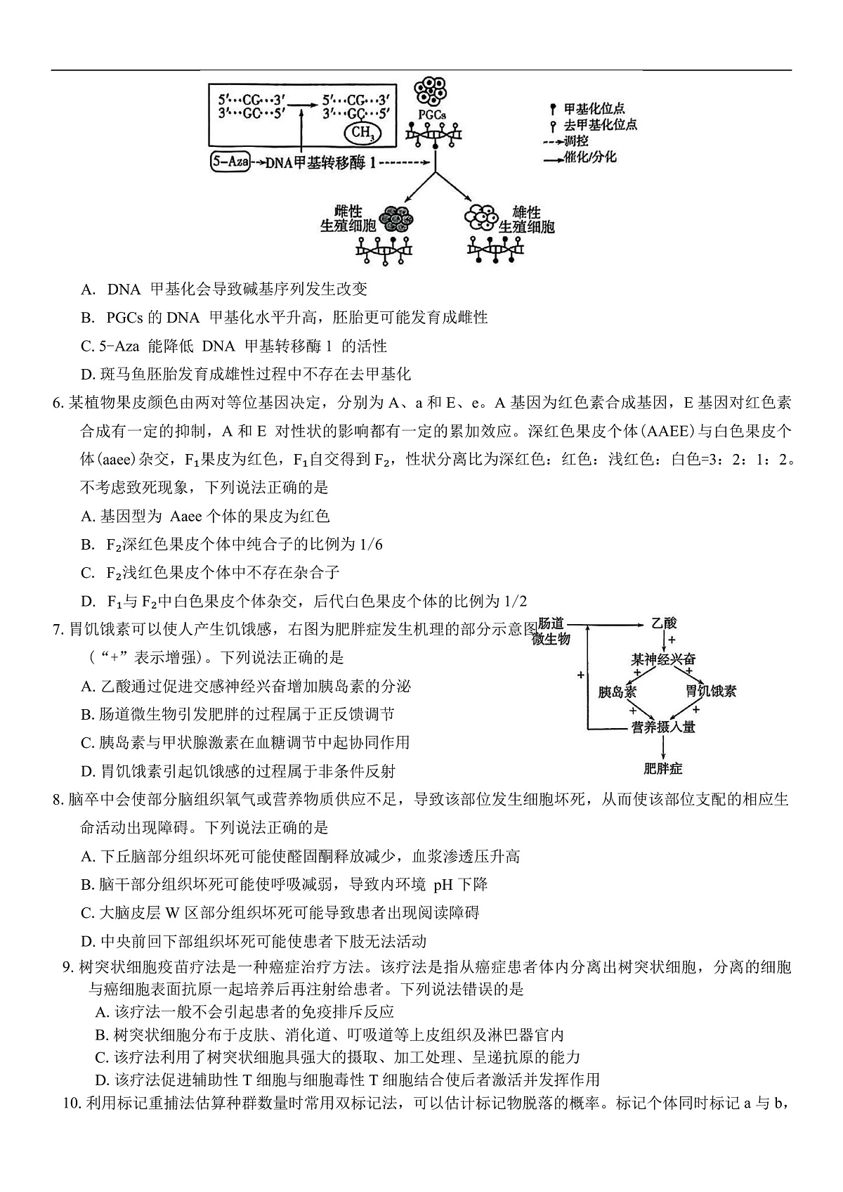 山东省潍坊市2025届高三高考模拟考试生物学试卷（有答案）第2页