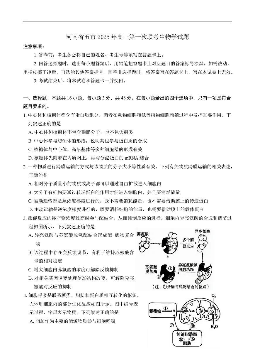 河南省五市2025年高三第一次联考生物学试题（有答案）第1页