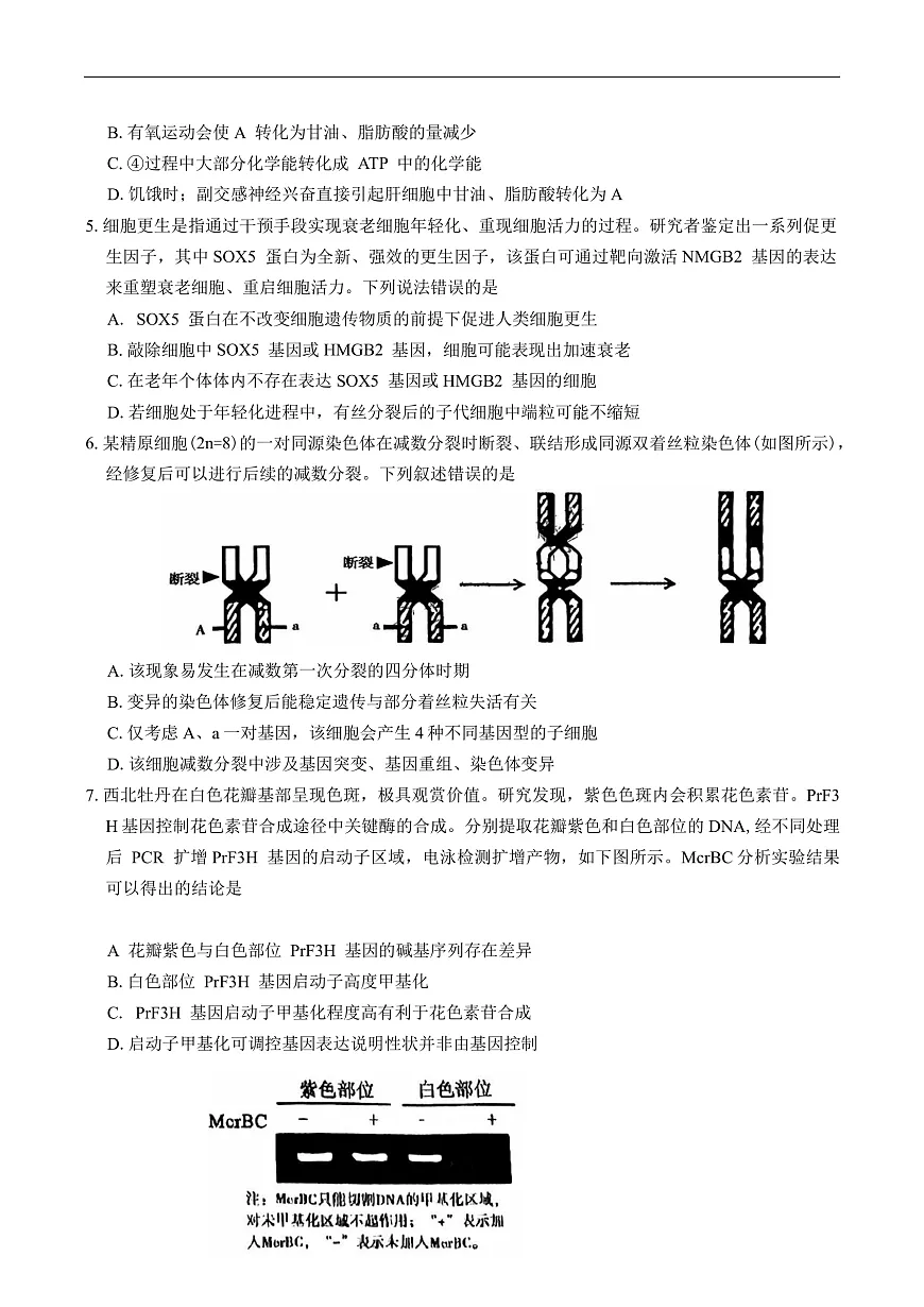 河南省五市2025年高三第一次联考生物学试题（有答案）第2页