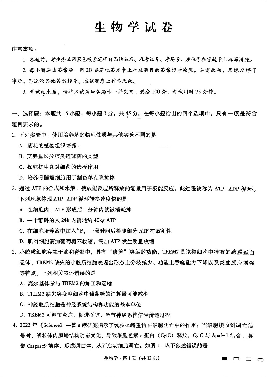 重庆市第八中学2025届高三3月适应性月考卷（六）生物第1页