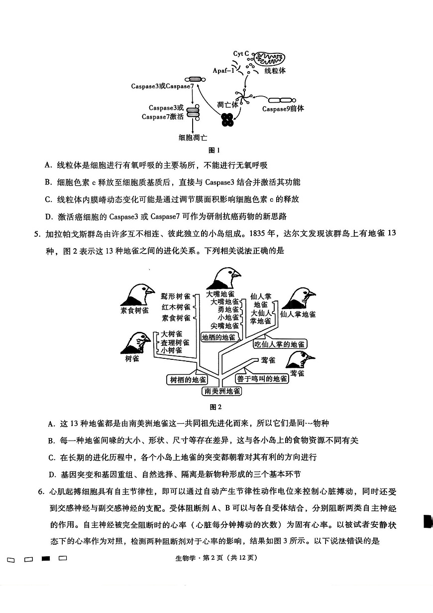 重庆市第八中学2025届高三3月适应性月考卷（六）生物第2页