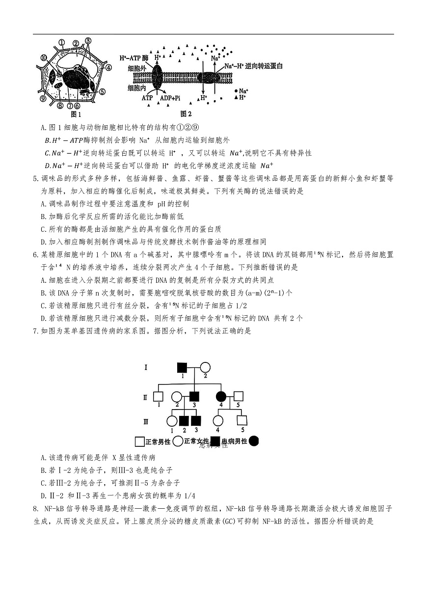湖南省长沙市开福区湖南省长沙市第一中学2024-2025学年高三下学期3月月考生物试题第2页