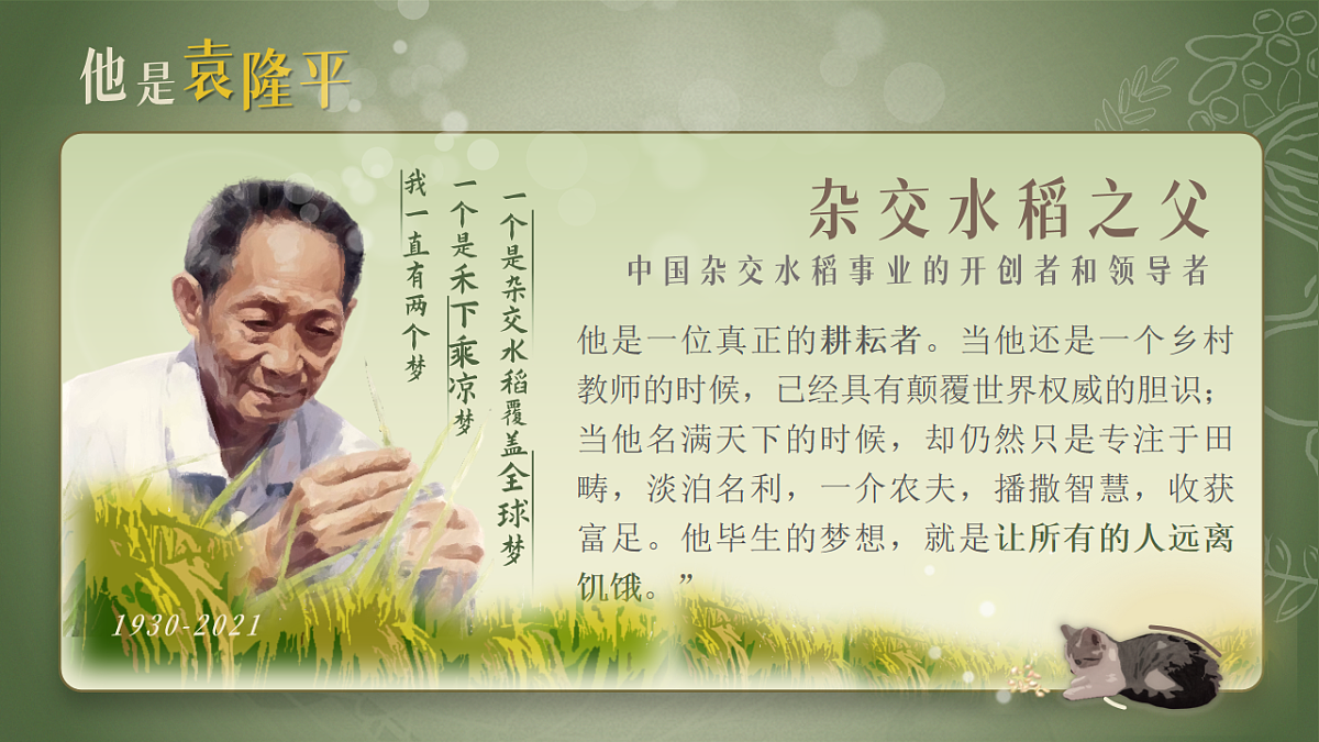 16823655第6页