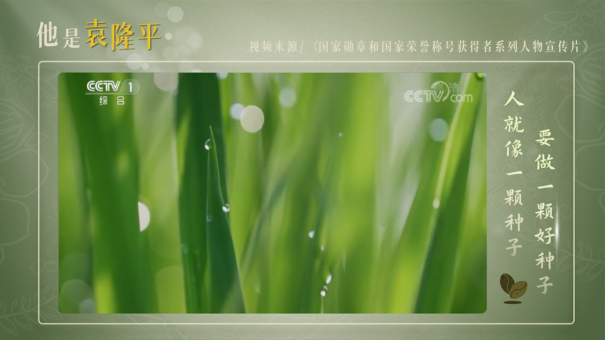 16823655第7页