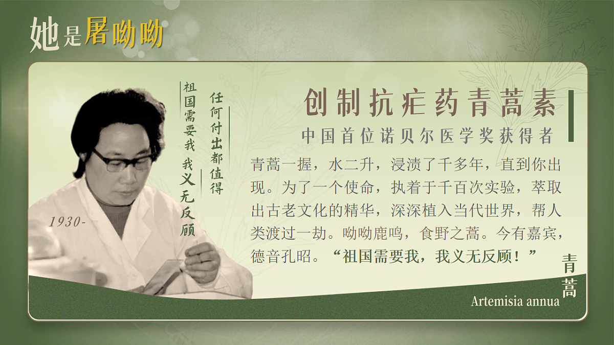 16823655第8页