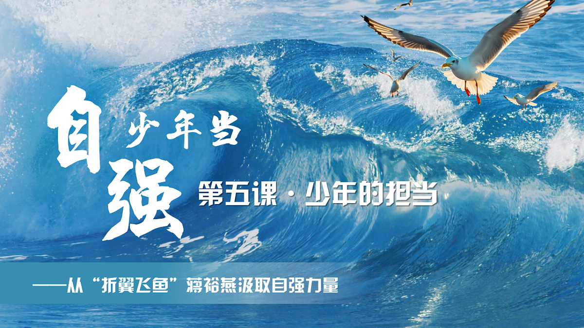16826278第3页