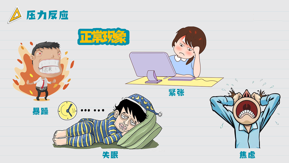 16826280第8页