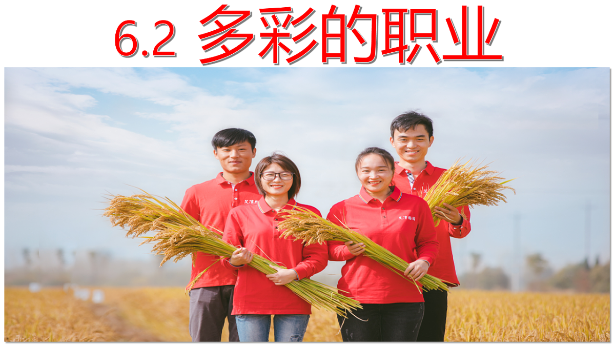 16826282第1页