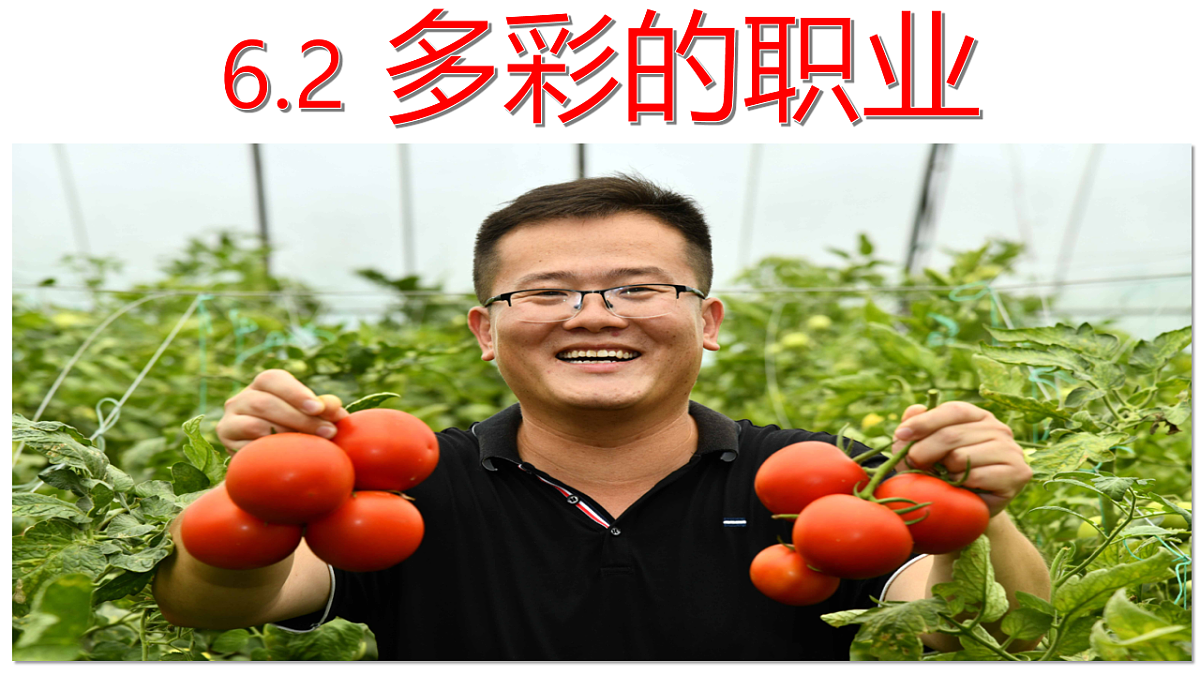 16826282第6页