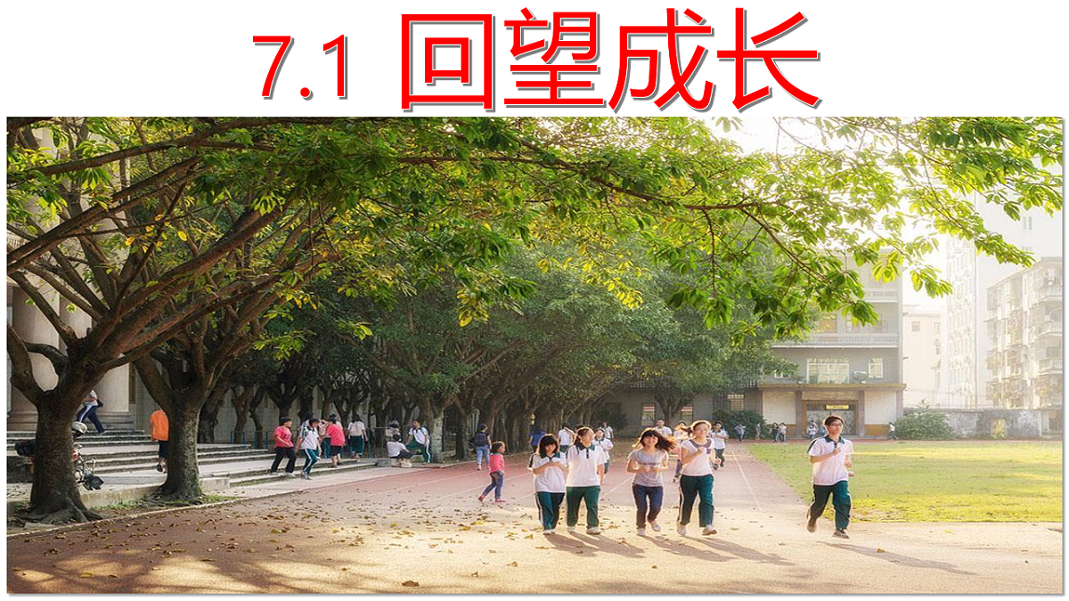 16826285第5页